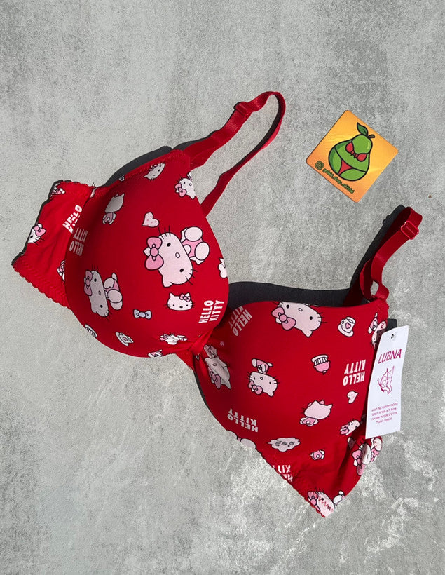 Flourish High Quality Front Open 4 In 1  Push-up Hello Kitty Print Adjustable Straps Bra Panty Set 016